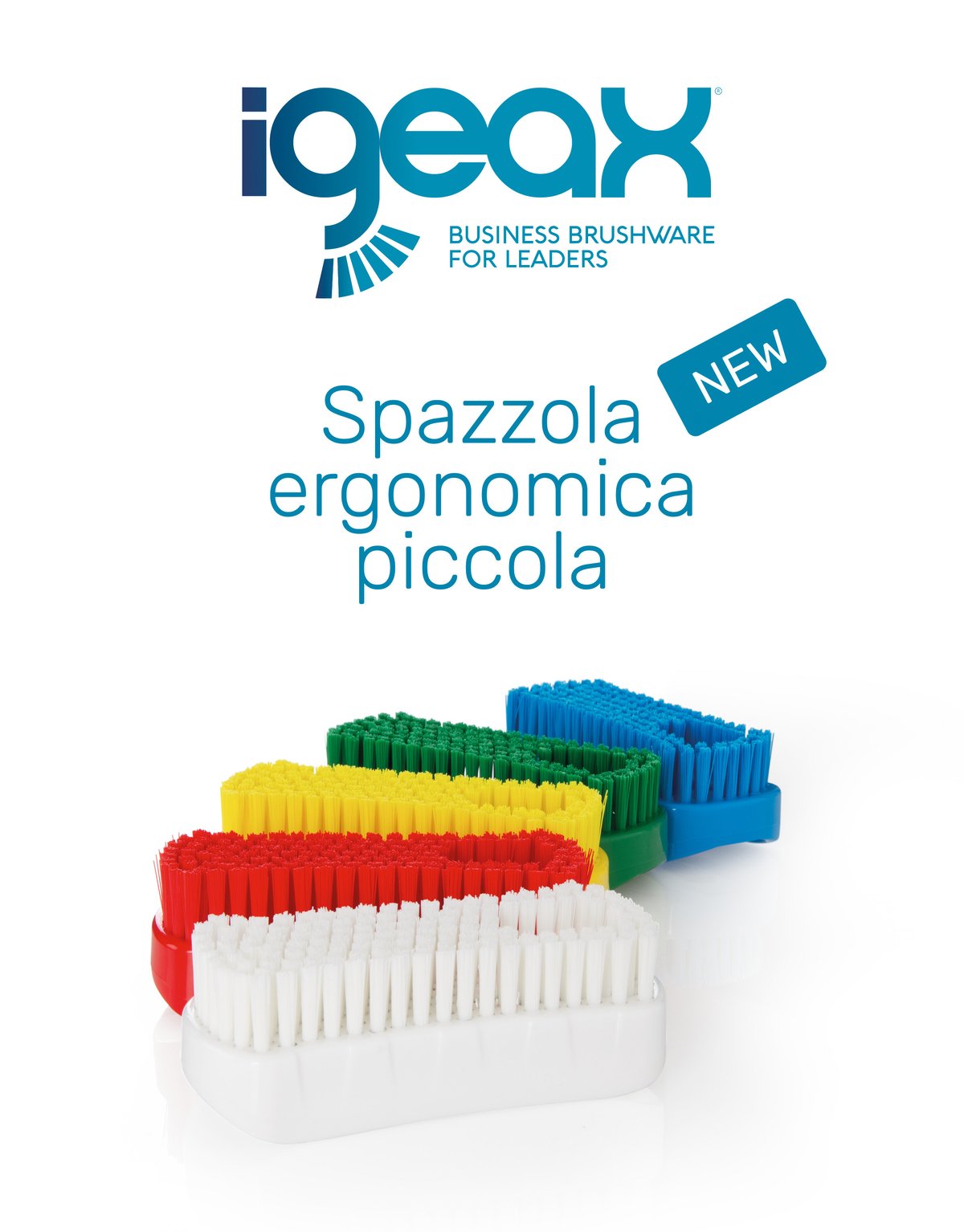 NEWSLETTER_Spazzola_ergonomica_piccola_1_IT-1